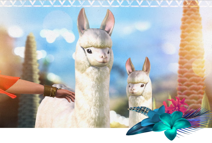 Picture of an alpaca